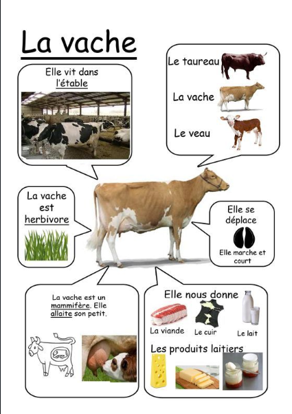 imagier des animaux