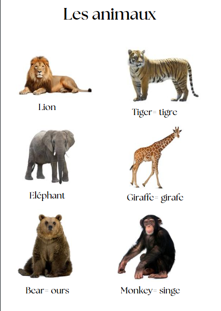 j'apprends l'anglais