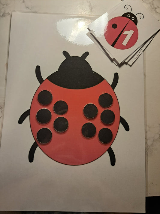 La coccinelle des chiffres